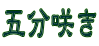ܕ炫